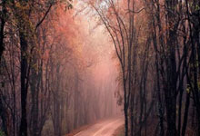 湖人客场告捷,季后赛前景乐观