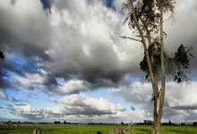 上港客场迎战富力:谁能笑到最后?