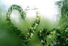 开拓者队战术执行精准，稳居榜首？