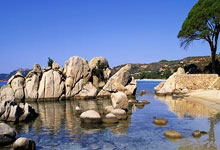 阿根廷勇士登顶:网球赛场上的男单冠军传奇