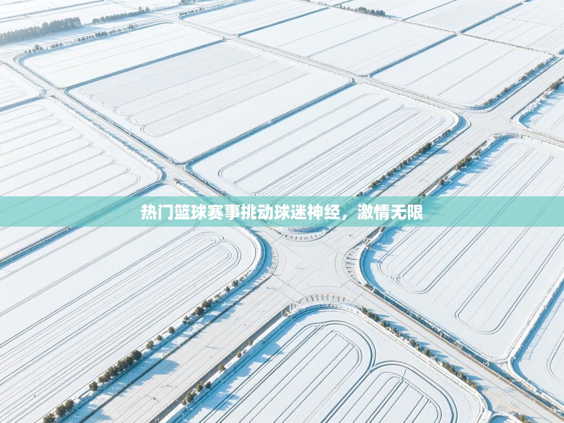 热门篮球赛事挑动球迷神经，激情无限  第1张